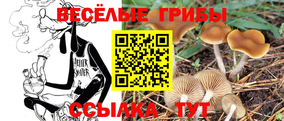 Галлюциногенные грибы ЛСД Зеленодольск